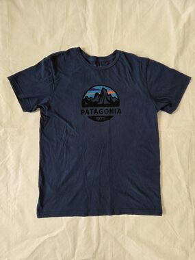 Patagonia Blue Tee with Multicolor Graphic